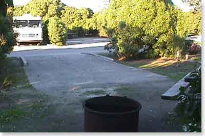 campsite #5 looking out