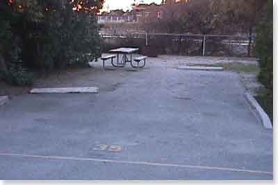 campsite #35 looking in campsite #35 looking in