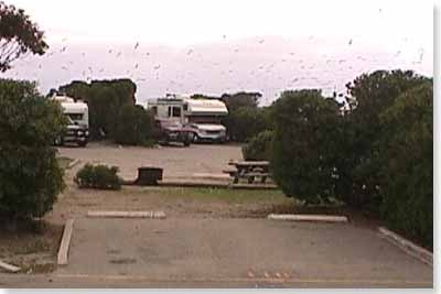 campsite #110 looking in campsite #110 looking in