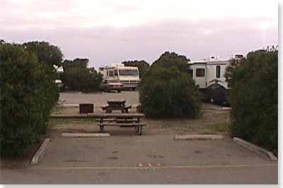 campsite #111 looking in campsite #111 looking in