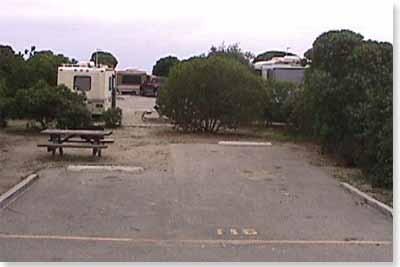 campsite #116 looking in campsite #116 looking in