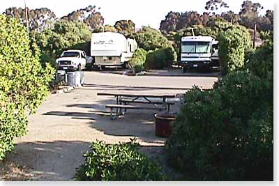 campsite #116 looking out campsite #116 looking out