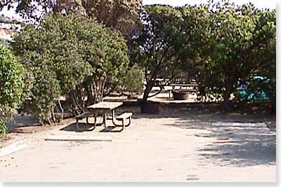 campsite #121 looking in campsite #121 looking in